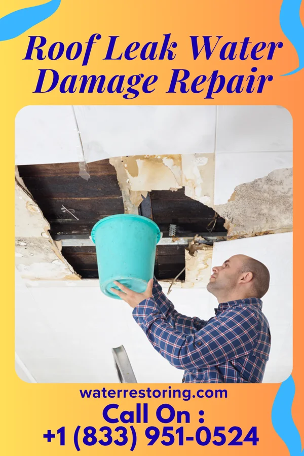 Roof Leak Water Damage Repair in Lasker, NC